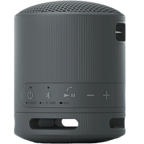 Sony Bluetooth Wireless Speaker SRS-XB100/B IMAGE 4