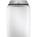  GE Profile Laundry PTW600BSRWS, PTD60EBMRWS IMAGE 2