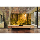  Samsung 65-inch Neo QLED 8K Smart TV QN65QN900BFXZC IMAGE 14