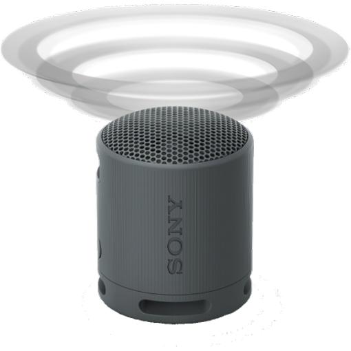 Sony Bluetooth Wireless Speaker SRS-XB100/B IMAGE 7