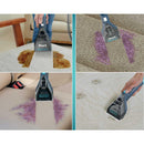  Shark StainStriker Portable Carpet & Upholstery Cleaner SHK-PX200C IMAGE 4